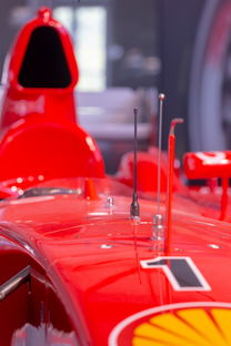 米兰体育报官网-全国青少年旱地冰球锦标赛在哈尔滨精彩展开，旱地冰球比赛时间