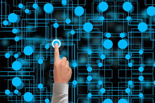 米兰体育官方下载-冬奥会遗产利用与社会价值实现研究，冬奥会遗产战略计划