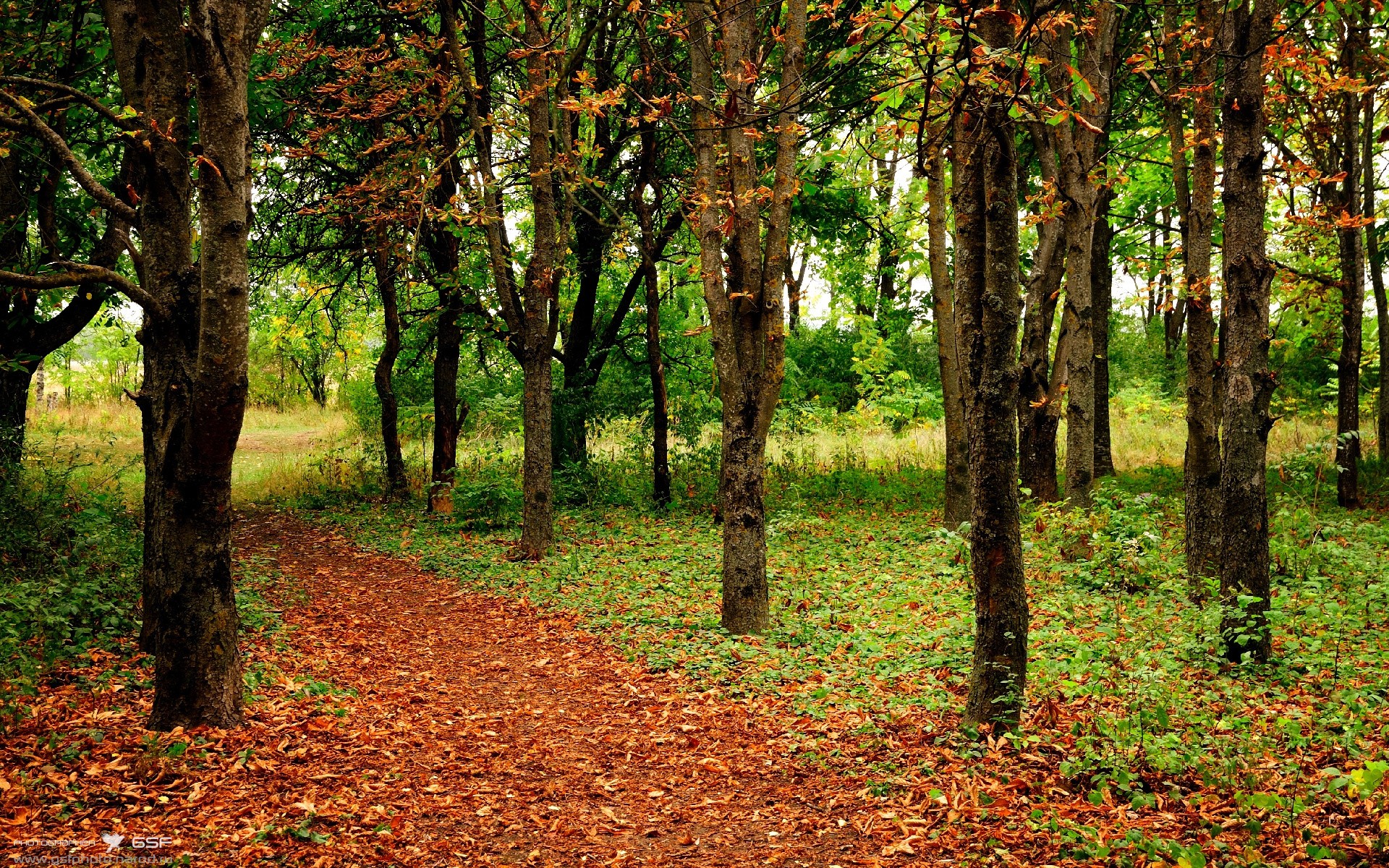 米兰体育入口-意甲外援青训融合模式对年轻球员成长的助力，意甲青训规则